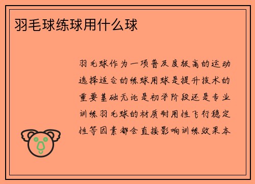 羽毛球练球用什么球
